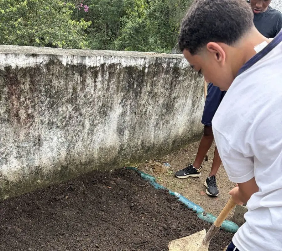 Fotografia da preparação do solo ou dos canteiros no início do cultivo.