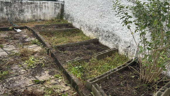 Espaço da horta antes do plantio